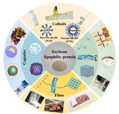 盘子里的光盘 描述已自动生成